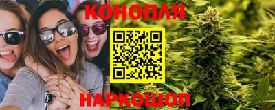 гидра Коммунар