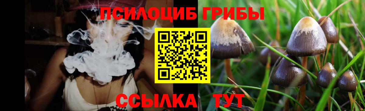 Галлюциногенные грибы Psilocybe Кимовск